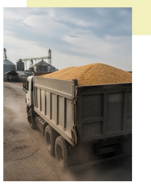 Перевозка сельхозпродукции навалом в Октябрьского по цене от 3107 р. | Агросервис-Ктб